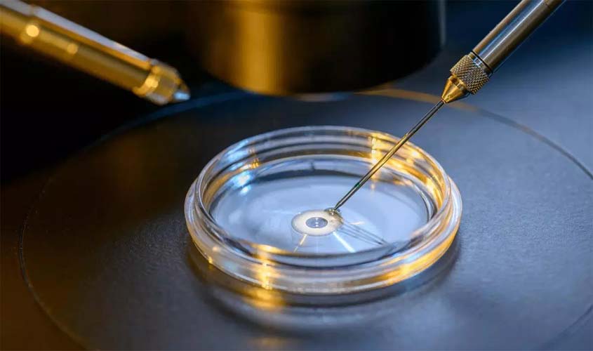 Terceira Turma reafirma não obrigatoriedade do custeio de fertilização in vitro pelos planos de saúde
