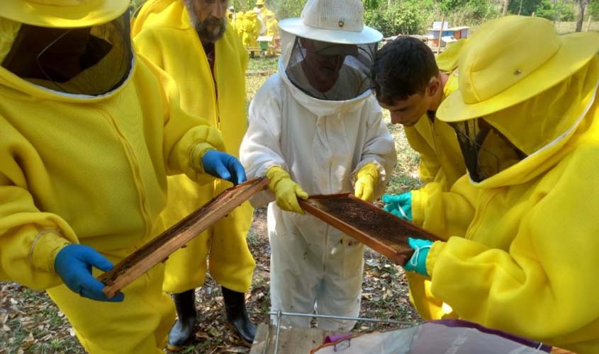 Com produção de mel em crescimento, Prefeitura de Porto Velho oferece cursos técnicos e apoia apicultores