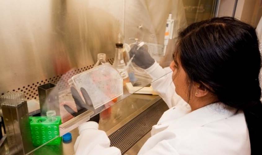 Centro em Alagoas vai pesquisar cura da ELA a partir de células-tronco